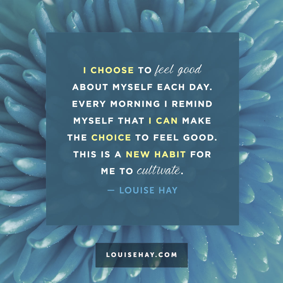 Daily Affirmations And Beautiful Quotes From Louise Hay 6003